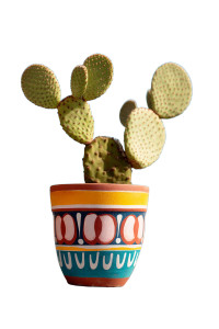 Prickly Pear Cactus Vinyl Car Decal Sticker – Waterproof & UV-Resistant 8" Prickly Pear Cactus Vinyl Car Decal Sticker – Waterproof & UV-Resistant 8"