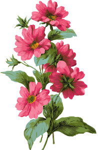 Pink Flowers Clipart Vinyl Car Decal Sticker – Waterproof & UV-Resistant 8" Pink Flowers Clipart Vinyl Car Decal Sticker – Waterproof & UV-Resistant 8"