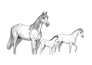 Horse Family Line Art Vinyl Car Decal Sticker – Waterproof & UV-Resistant 8" Horse Family Line Art Vinyl Car Decal Sticker – Waterproof & UV-Resistant 8"