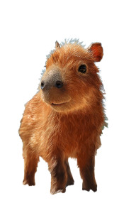 Fluffy Baby Capybara Vinyl Car Decal Sticker – Waterproof & UV-Resistant 8"