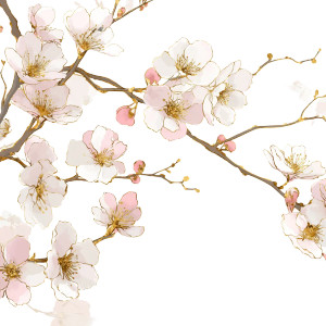 White Plum Blossoms Vinyl Car Decal Sticker – Waterproof & UV-Resistant 8"