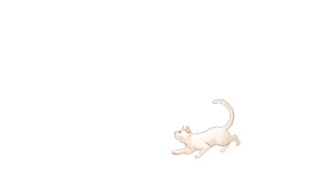 White Cat Chasing Butterflies Vinyl Car Decal Sticker – Waterproof & UV-Resistant 8" White Cat Chasing Butterflies Vinyl Car Decal Sticker – Waterproof & UV-Resistant 8"