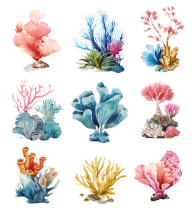 Coral Reef Clipart Vinyl Car Decal Sticker – Waterproof & UV-Resistant 8" Coral Reef Clipart Vinyl Car Decal Sticker – Waterproof & UV-Resistant 8"