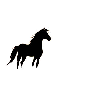 Spirit Silhouette Sunset Vinyl Car Decal Sticker – Waterproof & UV-Resistant 8"