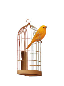 Bird In Cage Vinyl Car Decal Sticker – Waterproof & UV-Resistant 8" Bird In Cage Vinyl Car Decal Sticker – Waterproof & UV-Resistant 8"