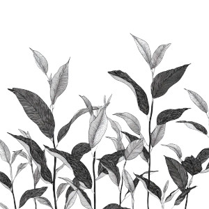 Tea Leaves Illustration Vinyl Car Decal Sticker – Waterproof & UV-Resistant 8"