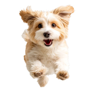 Happy Running Dog Vinyl Car Decal Sticker – Waterproof & UV-Resistant 8"