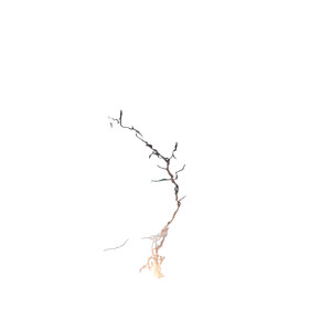 Tornado With Orbs Vinyl Car Decal Sticker – Waterproof & UV-Resistant 8"