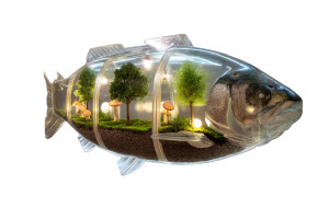 Transparent Ecosystem Fish V6 Vinyl Car Decal Sticker – Waterproof & UV-Resistant 8"