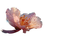 Floating Petal Close-Up Vinyl Car Decal Sticker – Waterproof & UV-Resistant 8"