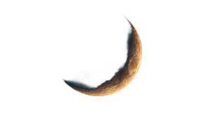Golden Crescent Moon V2 Vinyl Car Decal Sticker – Waterproof & UV-Resistant 8"