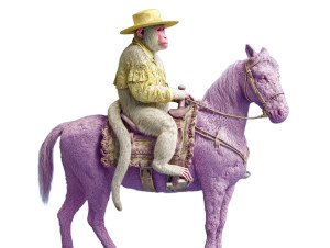 Monkey On Horse Vinyl Car Decal Sticker – Waterproof & UV-Resistant 8"