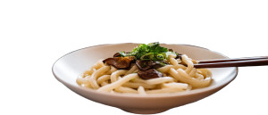 Udon Dish Vinyl Car Decal Sticker – Waterproof & UV-Resistant 8"