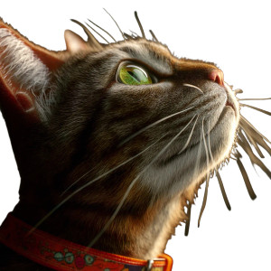 Cat V57 Vinyl Car Decal Sticker – Waterproof & UV-Resistant 8"