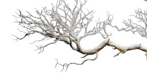 Alien Tree Twist Vinyl Car Decal Sticker – Waterproof & UV-Resistant 8"