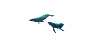 Majestic Blue Whales Vinyl Car Decal Sticker – Waterproof & UV-Resistant 8" Majestic Blue Whales Vinyl Car Decal Sticker – Waterproof & UV-Resistant 8"