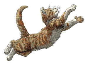 Leaping Tabby Kitten Vinyl Car Decal Sticker – Waterproof & UV-Resistant 8"