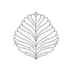 Single Leaf Icon Vinyl Car Decal Sticker – Waterproof & UV-Resistant 8"