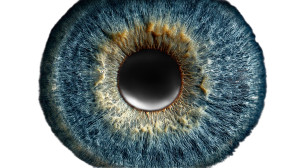 Luxury Blue Eye Vinyl Car Decal Sticker – Waterproof & UV-Resistant 8"