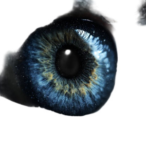 Cosmic Eye Vinyl Car Decal Sticker – Waterproof & UV-Resistant 8" Cosmic Eye Vinyl Car Decal Sticker – Waterproof & UV-Resistant 8"