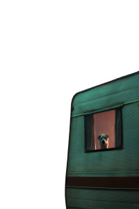 Terrified Dog View Vinyl Car Decal Sticker – Waterproof & UV-Resistant 8"