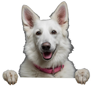 Cute Shepherd Dog Vinyl Car Decal Sticker – Waterproof & UV-Resistant 8"