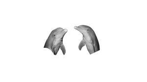 Dolphin Radio Announcers Vinyl Car Decal Sticker – Waterproof & UV-Resistant 8"