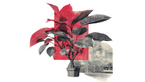 Red Flag Plant Vinyl Car Decal Sticker – Waterproof & UV-Resistant 8"