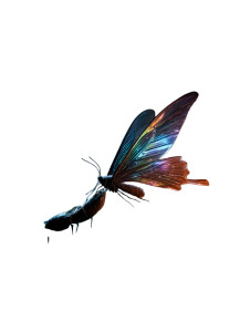Magical Butterfly Emergence V2 Vinyl Car Decal Sticker – Waterproof & UV-Resistant 8" Magical Butterfly Emergence V2 Vinyl Car Decal Sticker – Waterproof & UV-Resistant 8"