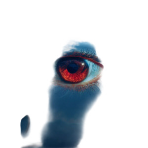 Reflected Eye Vinyl Car Decal Sticker – Waterproof & UV-Resistant 8" Reflected Eye Vinyl Car Decal Sticker – Waterproof & UV-Resistant 8"
