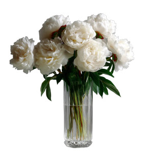 White Peonies Bouquet Vinyl Car Decal Sticker – Waterproof & UV-Resistant 8" White Peonies Bouquet Vinyl Car Decal Sticker – Waterproof & UV-Resistant 8"