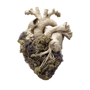 Marijuana Heart Vinyl Car Decal Sticker – Waterproof & UV-Resistant 8"