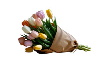 Fresh Tulips Bouquet V2 Vinyl Car Decal Sticker – Waterproof & UV-Resistant 8" Fresh Tulips Bouquet V2 Vinyl Car Decal Sticker – Waterproof & UV-Resistant 8"