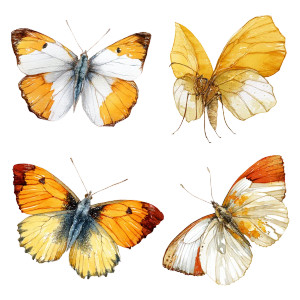 Autumn Butterflies Illustration Vinyl Car Decal Sticker – Waterproof & UV-Resistant 8" Autumn Butterflies Illustration Vinyl Car Decal Sticker – Waterproof & UV-Resistant 8"