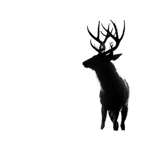 Majestic Deer Silhouette V2 Vinyl Car Decal Sticker – Waterproof & UV-Resistant 8" Majestic Deer Silhouette V2 Vinyl Car Decal Sticker – Waterproof & UV-Resistant 8"
