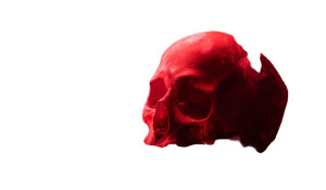 Fiery Skull Vinyl Car Decal Sticker – Waterproof & UV-Resistant 8"