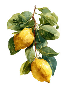 Lemon Branches Painting Vinyl Car Decal Sticker – Waterproof & UV-Resistant 8"