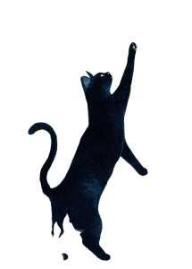 Stargazing Black Cat V2 Vinyl Car Decal Sticker – Waterproof & UV-Resistant 8"