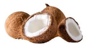 Hyper Realistic Coconut Vinyl Car Decal Sticker – Waterproof & UV-Resistant 8"