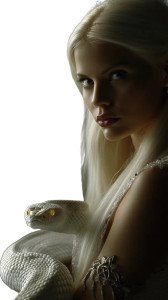 Dark Elf Shaman Vinyl Car Decal Sticker – Waterproof & UV-Resistant 8"