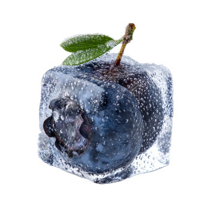 Iced Blueberry Vinyl Car Decal Sticker – Waterproof & UV-Resistant 8" Iced Blueberry Vinyl Car Decal Sticker – Waterproof & UV-Resistant 8"