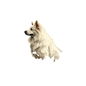 Framed Dog Illustration Vinyl Car Decal Sticker – Waterproof & UV-Resistant 8"