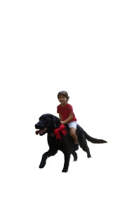 Baby On Labrador Vinyl Car Decal Sticker – Waterproof & UV-Resistant 8"