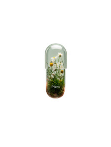 Piora Capsule Vinyl Car Decal Sticker – Waterproof & UV-Resistant 8"