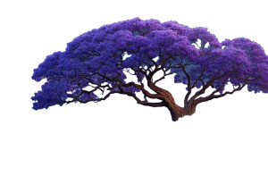 Blue Jacaranda Tree Vinyl Car Decal Sticker – Waterproof & UV-Resistant 8"