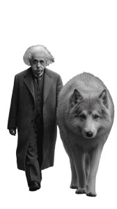 Einstein And Wolf Vinyl Car Decal Sticker – Waterproof & UV-Resistant 8"