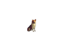 Waiting Dog Vinyl Car Decal Sticker – Waterproof & UV-Resistant 8"