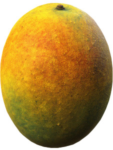 Ripe Mango Skin Vinyl Car Decal Sticker – Waterproof & UV-Resistant 8" Ripe Mango Skin Vinyl Car Decal Sticker – Waterproof & UV-Resistant 8"