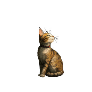 A Cat V29 Vinyl Car Decal Sticker – Waterproof & UV-Resistant 8"