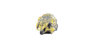 Curled Hedgehog Chaos Vinyl Car Decal Sticker – Waterproof & UV-Resistant 8"